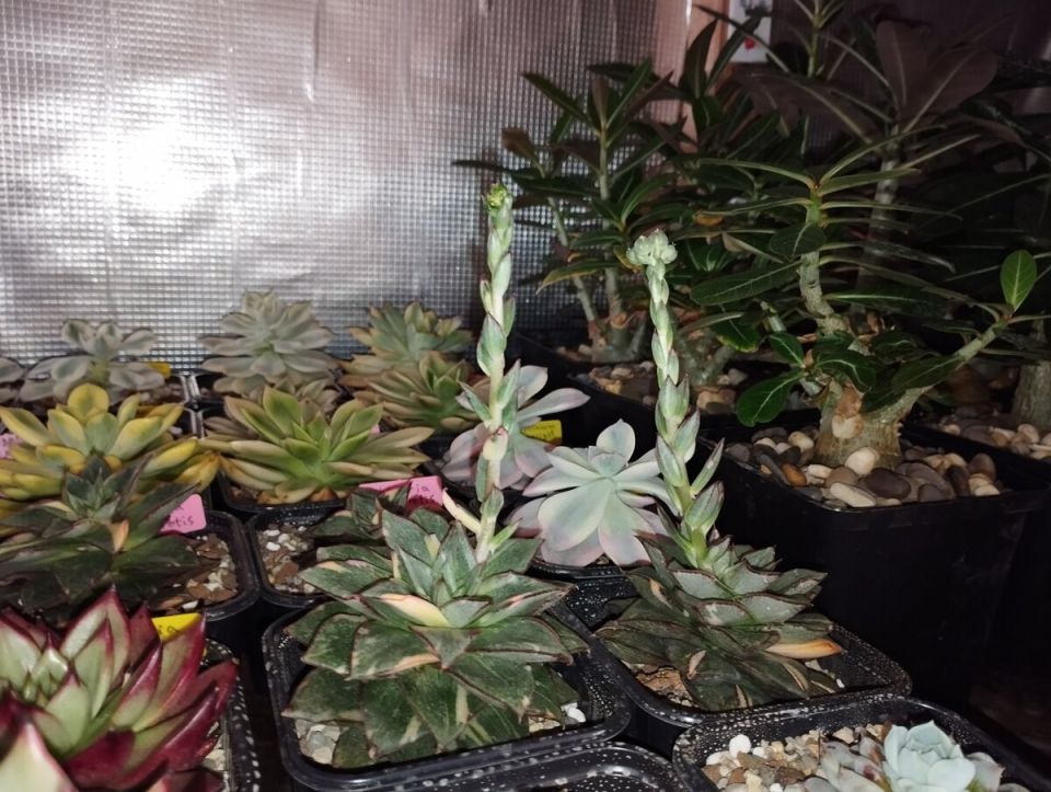 �������� �����������: ���� � ������� � ������ �� ������������