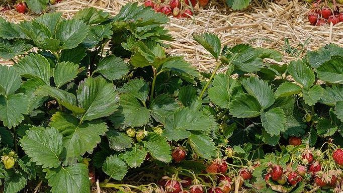 ��� ������� ������� ��������� ��������� ������ �������� � ��� ����