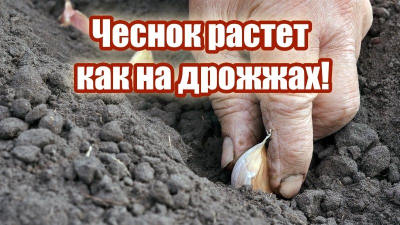 ������ �� �����������: ��� �������� ������ �� 40%