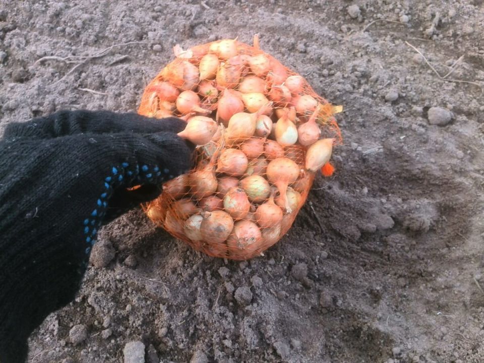 ��� ��������� �������� ��� �� ����: ������ �� �����������