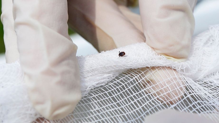 ��������� ����� ������ � �������: ��������� � ����������� ������ ������ ������ �������