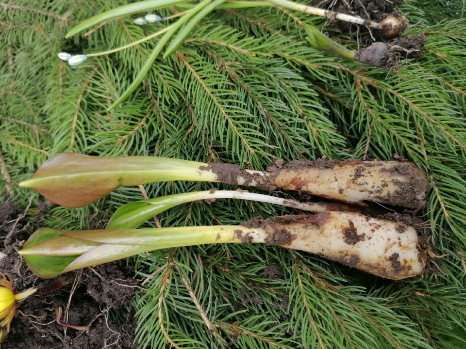 ����� � ����: ��� ����� �������� ��� ������ ��������