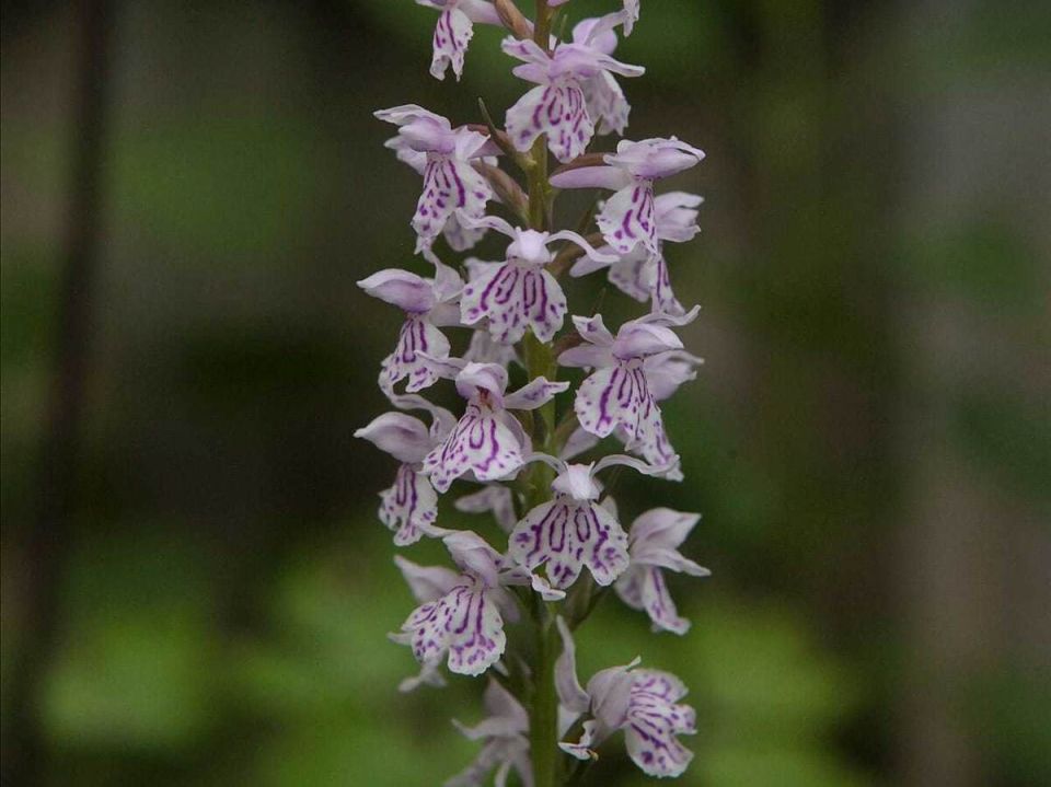 ���������������� �����: ������� ��������� ����������� �������� �������