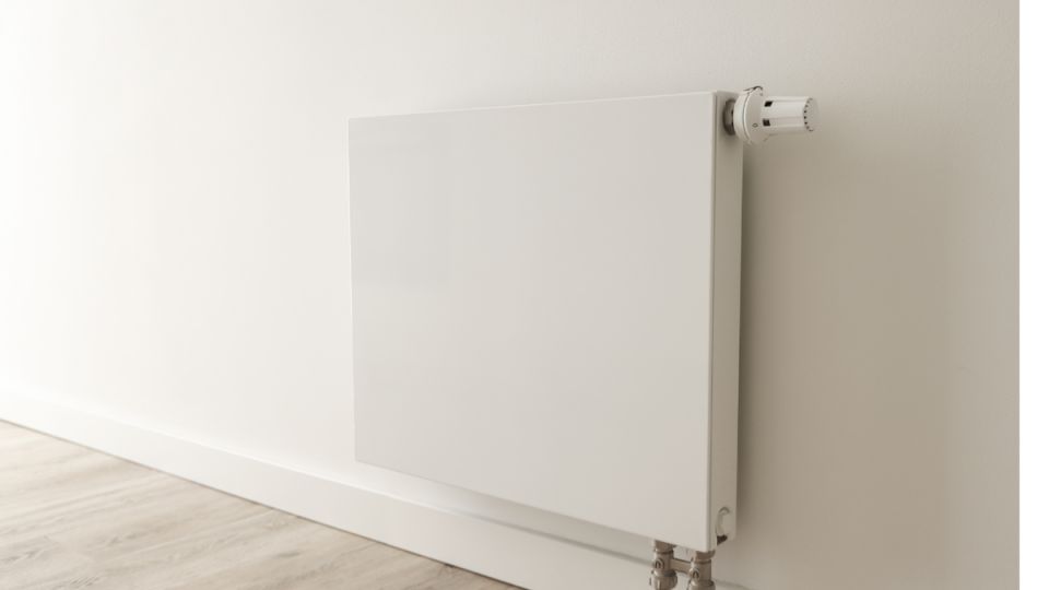 ��� ������, ���� � �������� �������: ������ ����������������