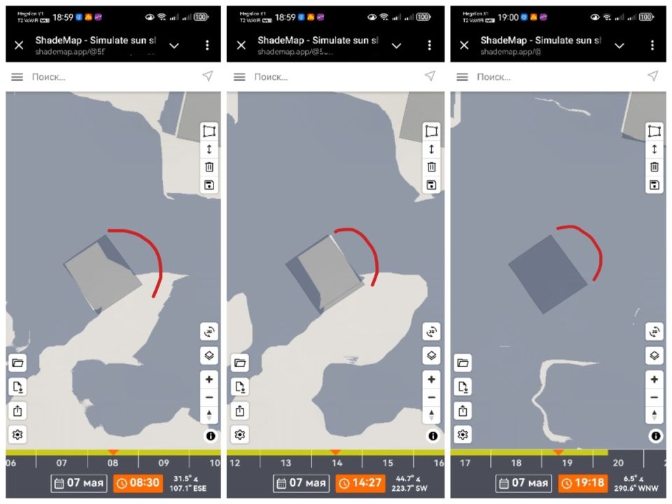 Как преобразить сухую тень на вашем участке: советы по выбору цветов